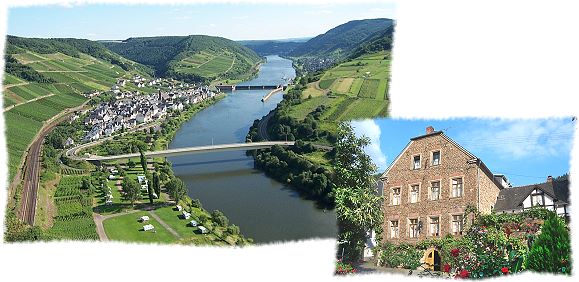 Blick auf Neef an der Mosel und das Ferienweingut Boendgen